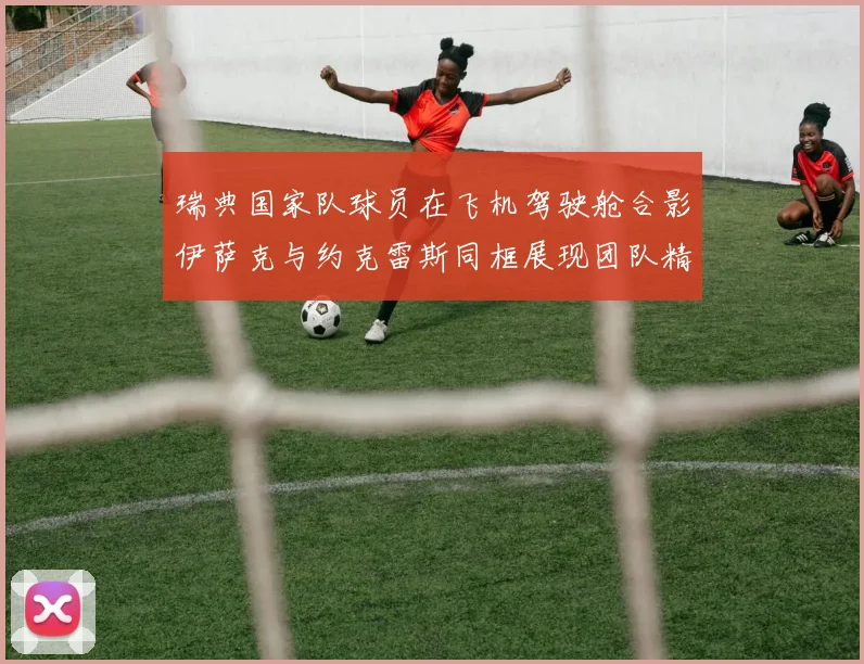 瑞典国家队球员在飞机驾驶舱合影伊萨克与约克雷斯同框展现团队精神
