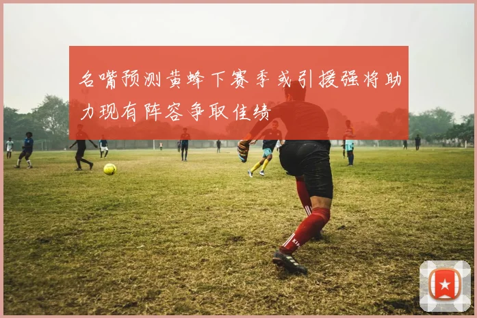 名嘴预测黄蜂下赛季或引援强将助力现有阵容争取佳绩